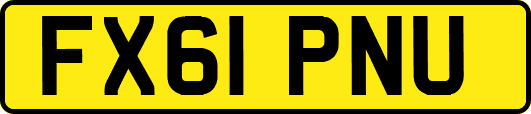 FX61PNU
