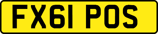 FX61POS