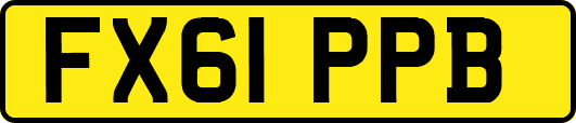 FX61PPB