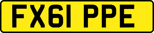 FX61PPE