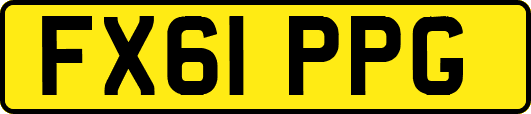 FX61PPG