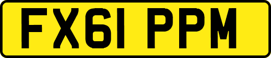 FX61PPM