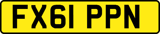 FX61PPN
