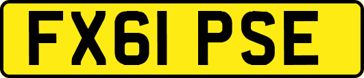 FX61PSE