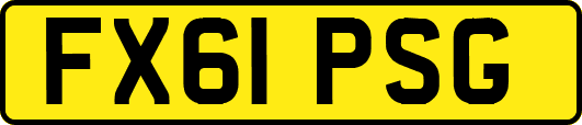 FX61PSG
