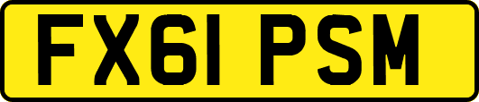 FX61PSM