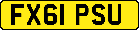 FX61PSU