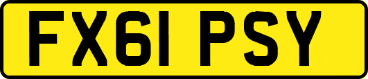 FX61PSY