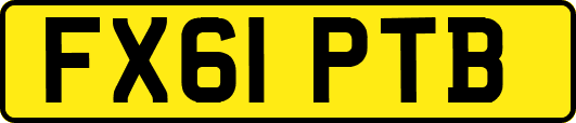 FX61PTB