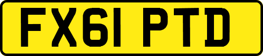 FX61PTD