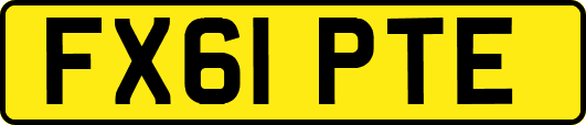 FX61PTE