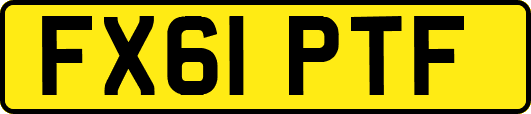 FX61PTF