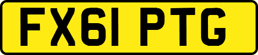 FX61PTG