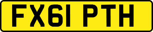 FX61PTH