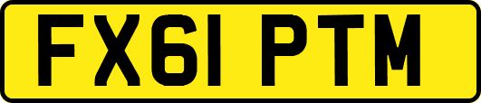 FX61PTM