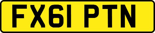 FX61PTN