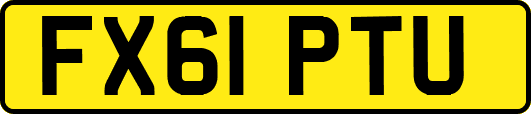 FX61PTU