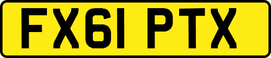 FX61PTX
