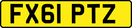 FX61PTZ