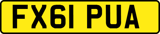 FX61PUA