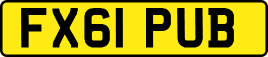 FX61PUB