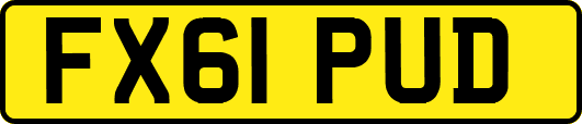 FX61PUD