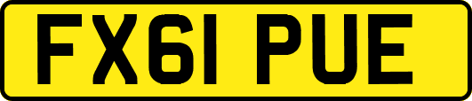 FX61PUE