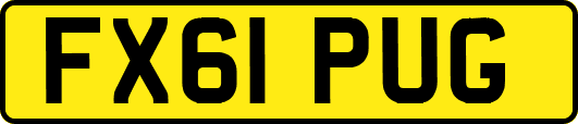 FX61PUG