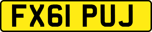 FX61PUJ