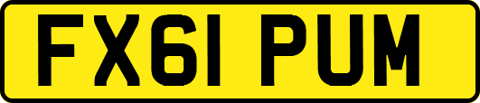 FX61PUM