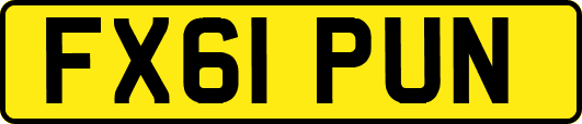 FX61PUN