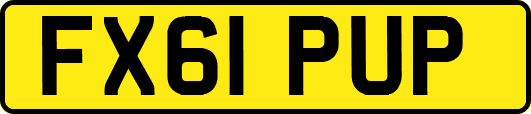 FX61PUP