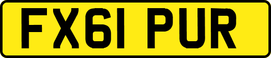 FX61PUR
