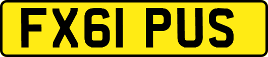 FX61PUS