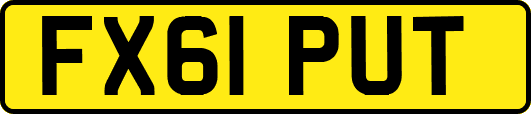 FX61PUT