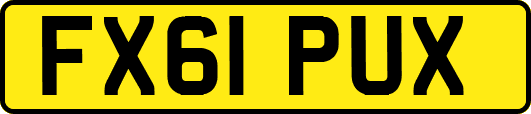 FX61PUX