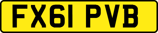 FX61PVB