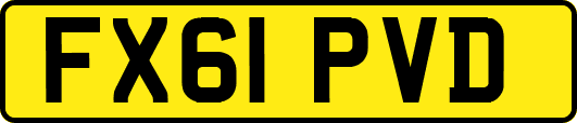 FX61PVD