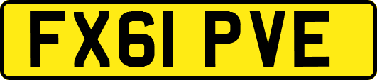 FX61PVE