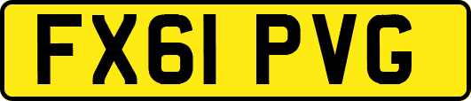 FX61PVG