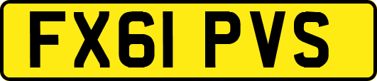 FX61PVS