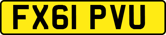 FX61PVU
