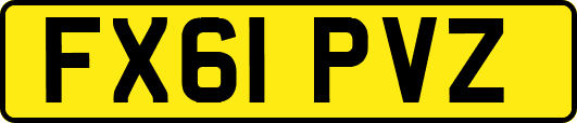 FX61PVZ