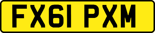 FX61PXM