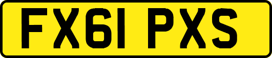 FX61PXS