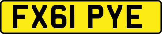 FX61PYE