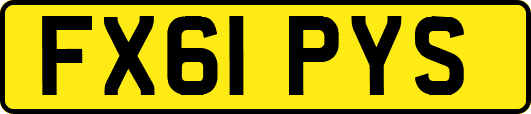 FX61PYS