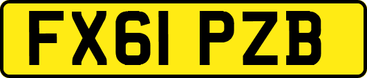 FX61PZB