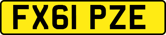 FX61PZE