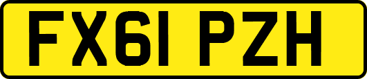 FX61PZH